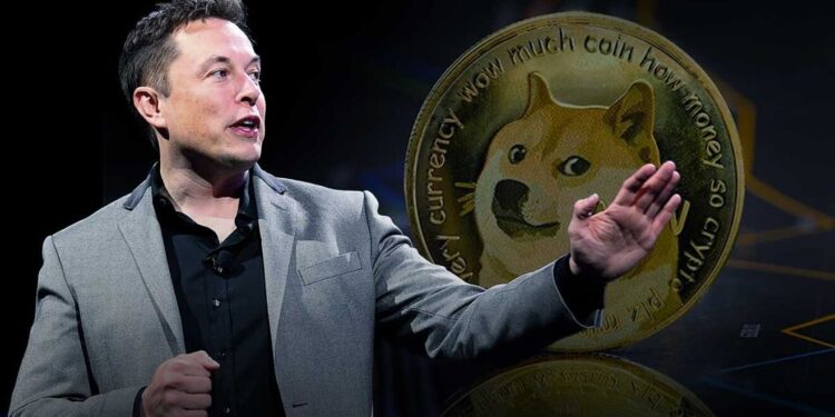 What Happens If Elon Musk Starts Shilling Dogecoin Again?