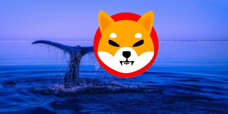Shiba Inu Kicks Off 2023 With 50% Rally, Becomes Ethereum Whale Favorite