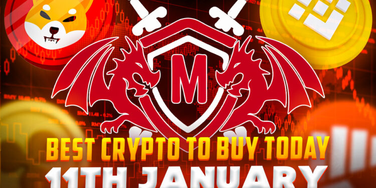 Best Crypto to Buy Today 11th January – MEMAG, XRP, FGHT, SHIB, CCHG, BNB, RIA, MATIC, D2T