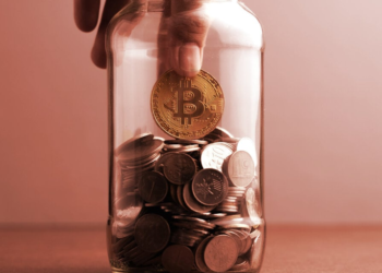 Why Bitcoin Supporters Organized a ‘Bank Run’ on Crypto Exchanges