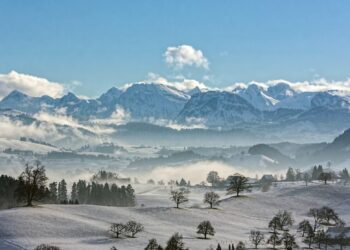 The Swiss financial industry has successfully traded and settled tokenized investment products