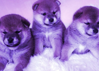 Dogecoin, Bonk and Shiba Inu Combine for $25 Billion in Monthly Trading Volume