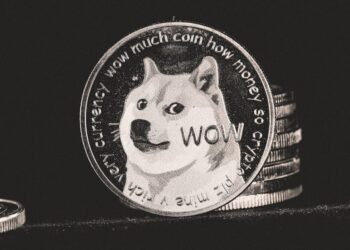Dogecoin [DOGE] to rise beyond 40%? Whale activity may spur rally