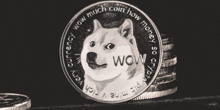 Dogecoin [DOGE] to rise beyond 40%? Whale activity may spur rally