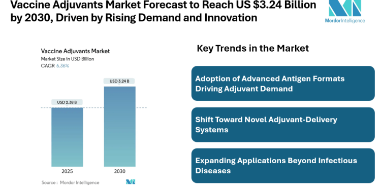 Vaccine Adjuvants Market Forecast to Reach US $3.24 Billion by 2030, Driven by Rising Demand and Innovation