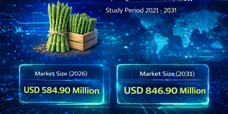 Asparagus Market Size to Reach USD 846.9 Million by 2031: Key Trends Driving Growth