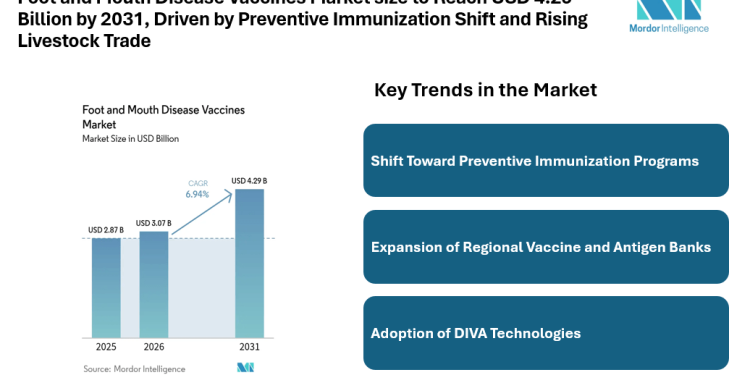 Foot and Mouth Disease Vaccines Market size to Reach USD 4.29 Billion by 2031, Driven by Preventive Immunization Shift and Rising Livestock Trade